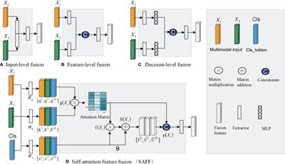 SMMF: a self-attention-based multi-parametric MRI feature fusion framework for the diagnosis of bladder cancer grading